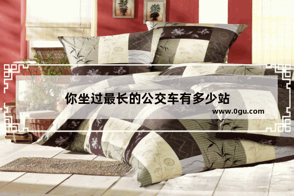 你坐过最长的公交车有多少站