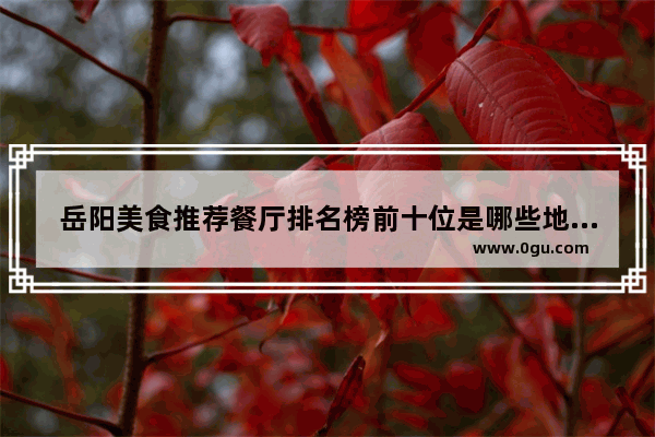 岳阳美食推荐餐厅排名榜前十位是哪些地方的