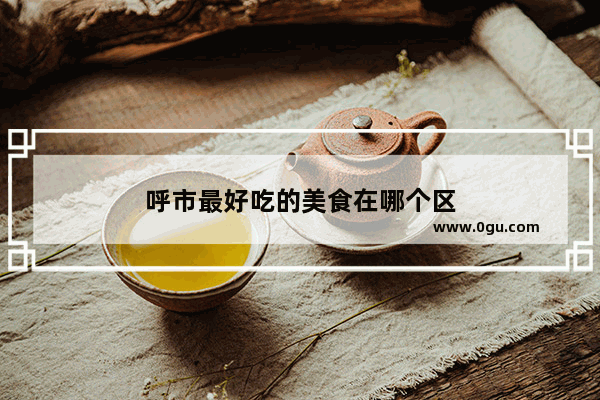 呼市最好吃的美食在哪个区