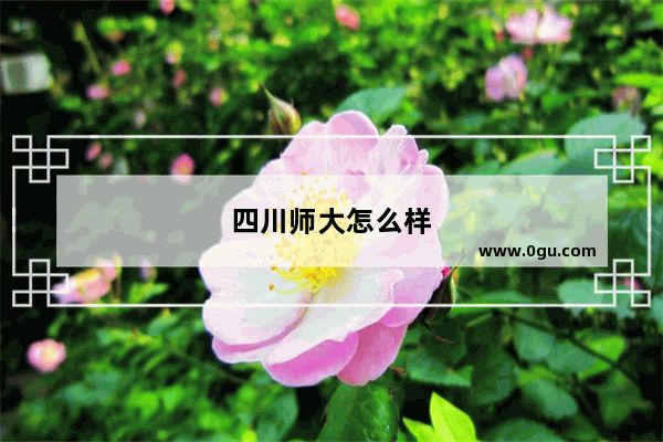 四川师大怎么样