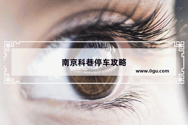 南京科巷停车攻略