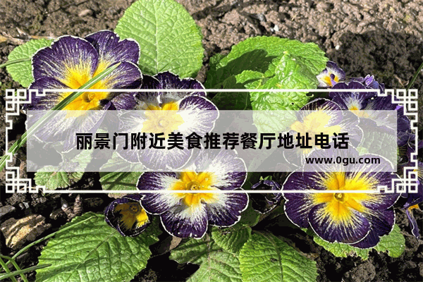 丽景门附近美食推荐餐厅地址电话