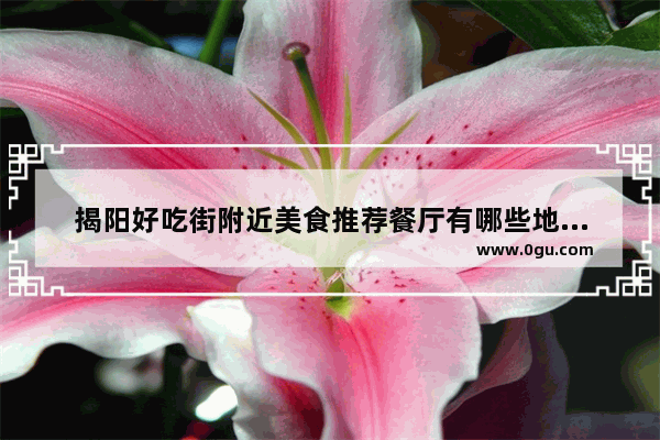 揭阳好吃街附近美食推荐餐厅有哪些地方呢
