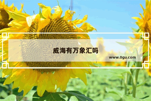 威海有万象汇吗