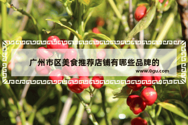 广州市区美食推荐店铺有哪些品牌的