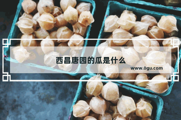 西昌唐园的瓜是什么