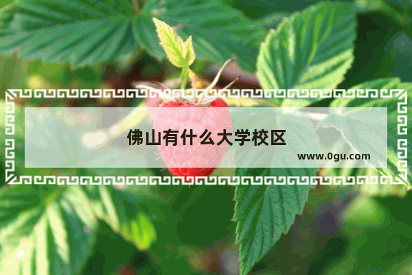 佛山有什么大学校区