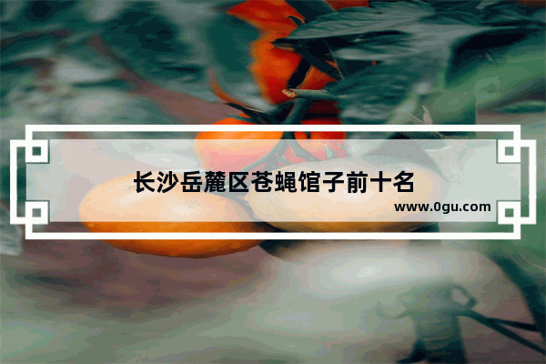 长沙岳麓区苍蝇馆子前十名