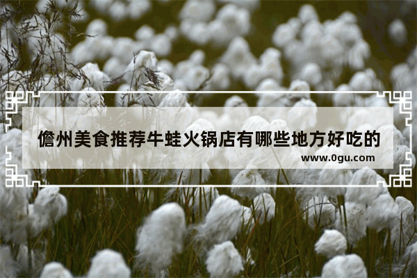 儋州美食推荐牛蛙火锅店有哪些地方好吃的
