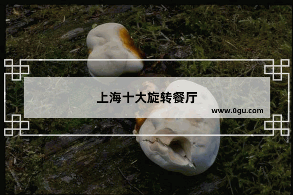 上海十大旋转餐厅