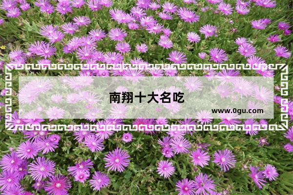 南翔十大名吃