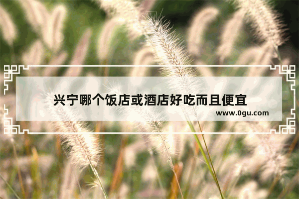 兴宁哪个饭店或酒店好吃而且便宜