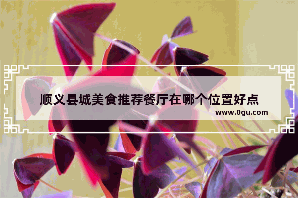 顺义县城美食推荐餐厅在哪个位置好点