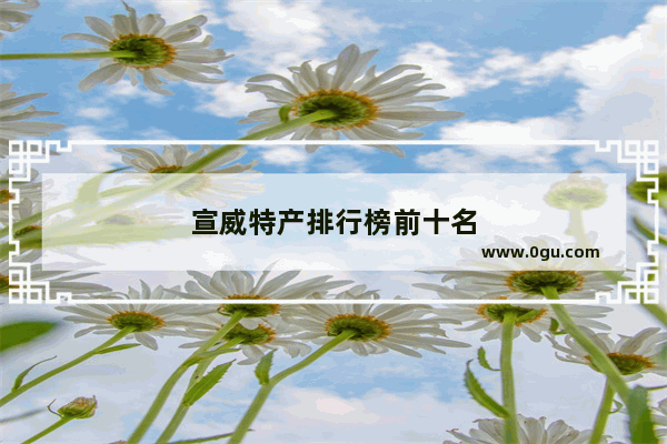 宣威特产排行榜前十名