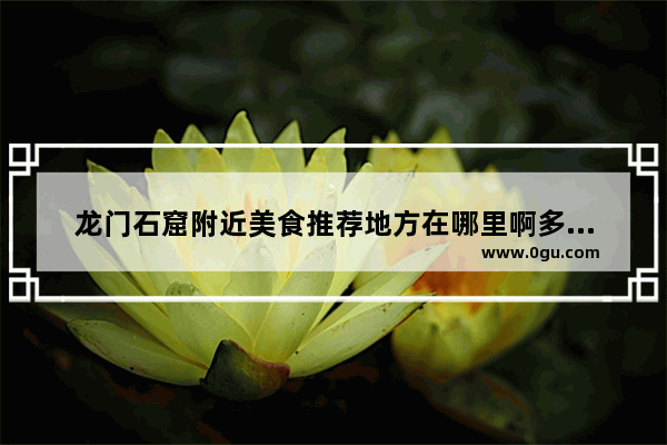 龙门石窟附近美食推荐地方在哪里啊多少钱一位