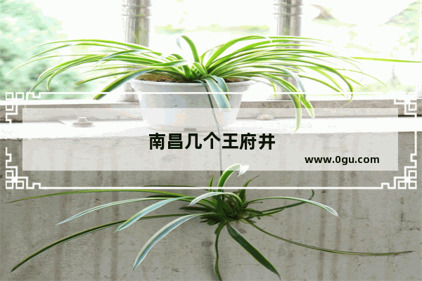 南昌几个王府井