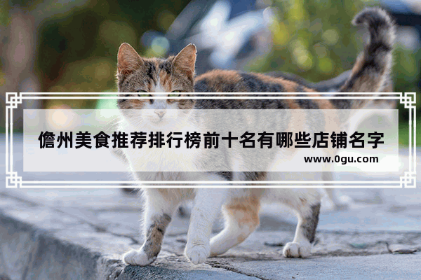 儋州美食推荐排行榜前十名有哪些店铺名字