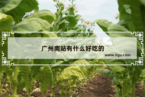广州南站有什么好吃的