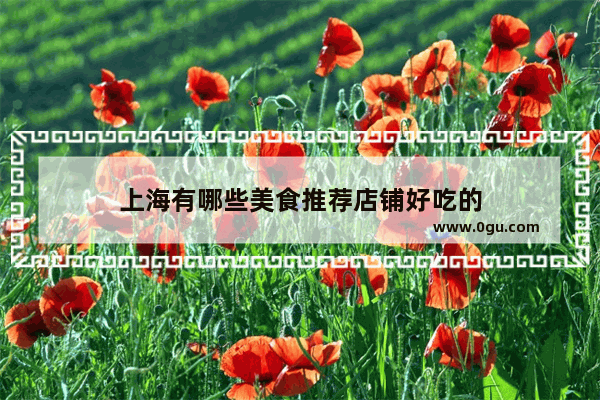 上海有哪些美食推荐店铺好吃的