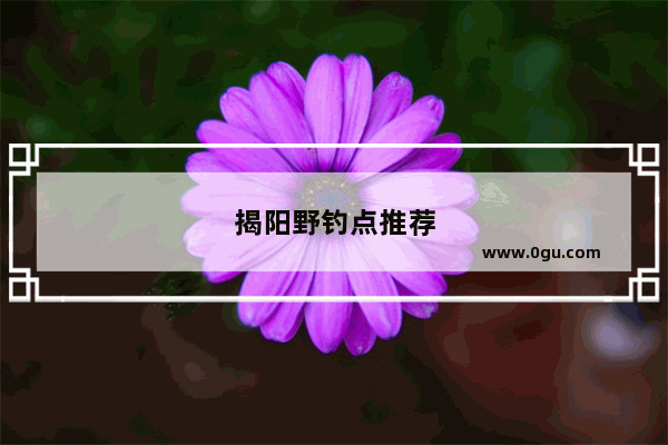 揭阳野钓点推荐