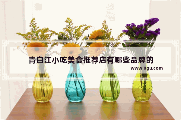 青白江小吃美食推荐店有哪些品牌的
