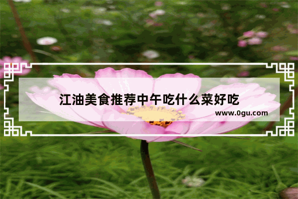 江油美食推荐中午吃什么菜好吃