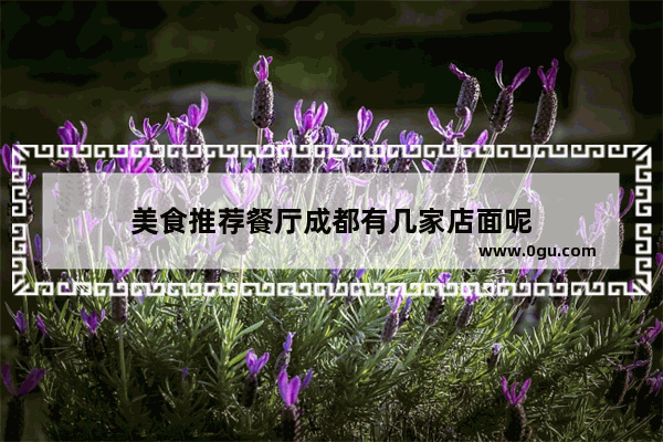 美食推荐餐厅成都有几家店面呢