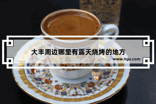 大丰周边哪里有露天烧烤的地方