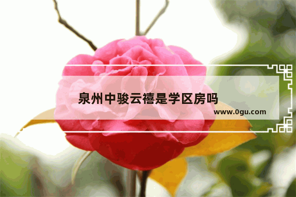 泉州中骏云禧是学区房吗