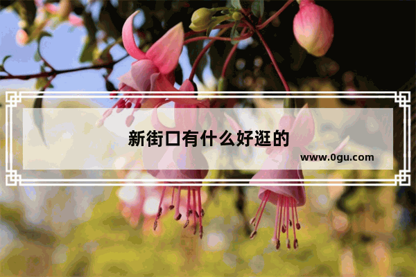 新街口有什么好逛的