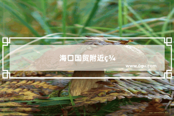海口国贸附近美食推荐地址在哪里呀多少钱一位