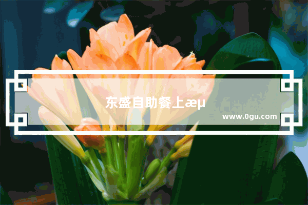 东盛自助餐上海有几家