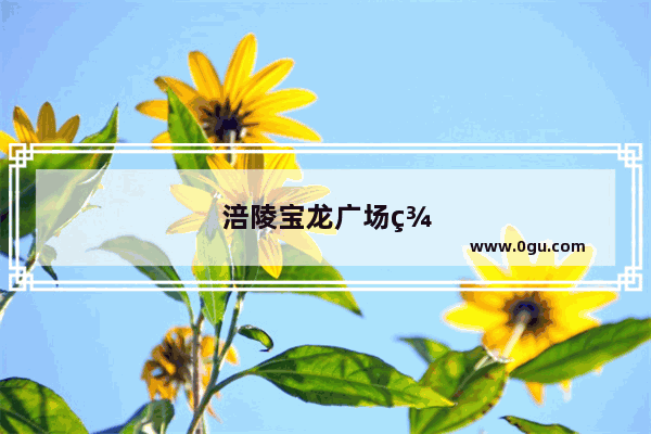 涪陵宝龙广场美食推荐餐厅有哪些店铺
