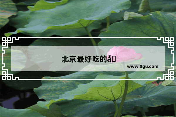 北京最好吃的卤煮在哪里