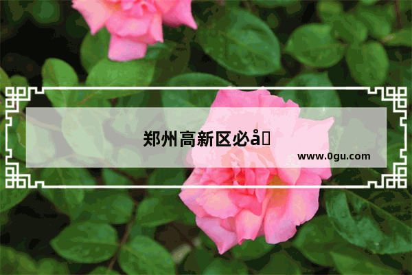 郑州高新区必吃的馆子