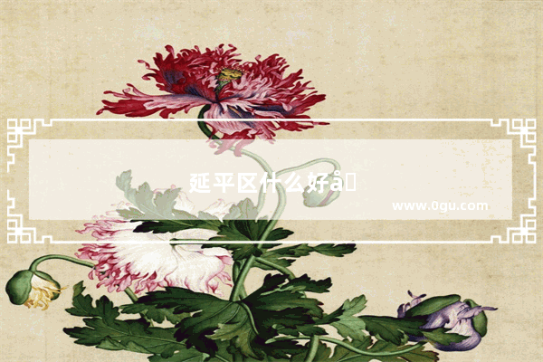 延平区什么好吃
