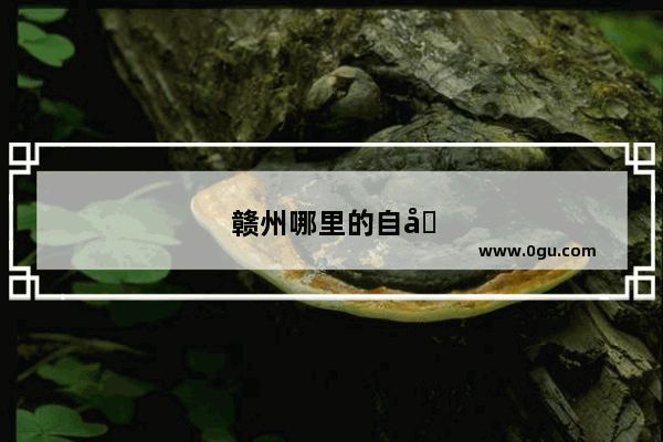 赣州哪里的自助餐比较好