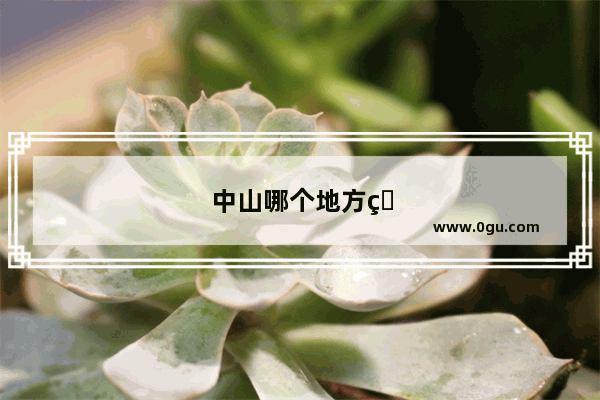 中山哪个地方的脆肉最好吃
