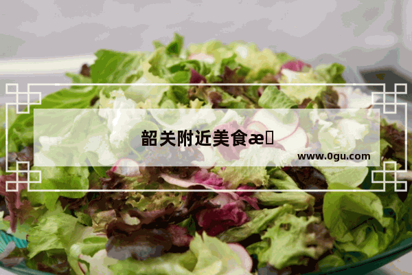韶关附近美食推荐店有哪些地方好吃的