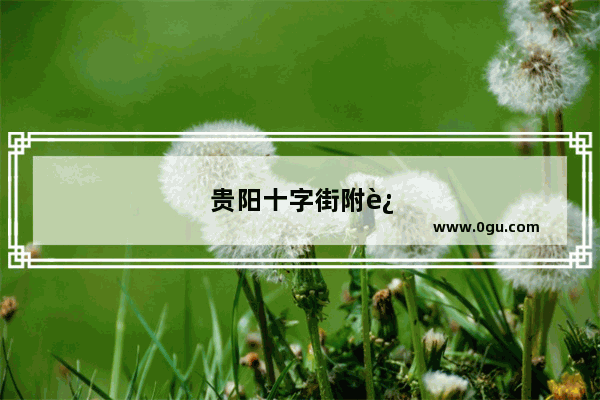贵阳十字街附近的酒店推荐