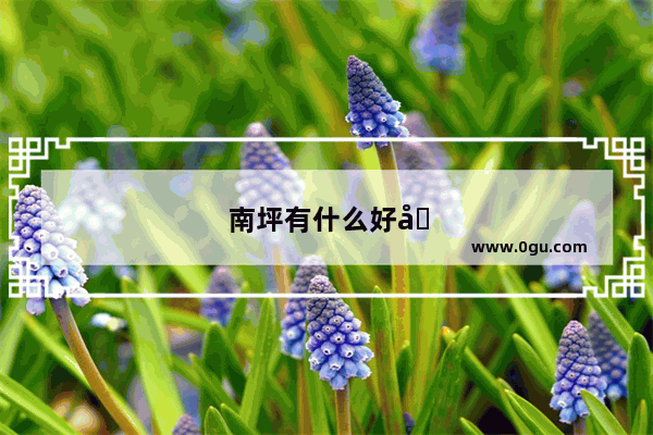 南坪有什么好吃的呢
