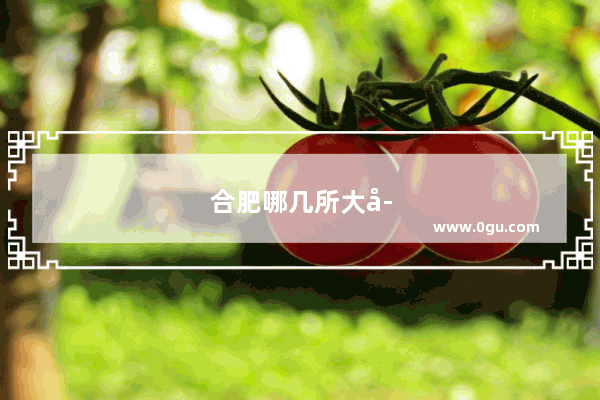 合肥哪几所大学后面是小吃街