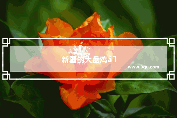 新疆的大盘鸡哪里最好吃