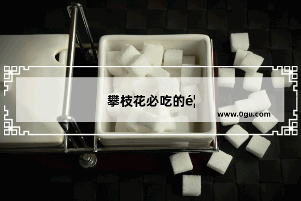 攀枝花必吃的馆子