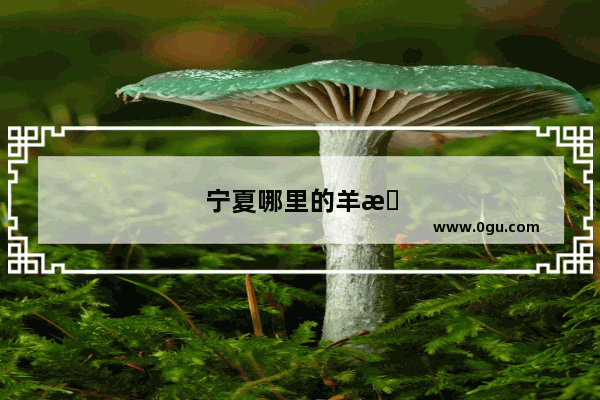 宁夏哪里的羊杂碎最好吃