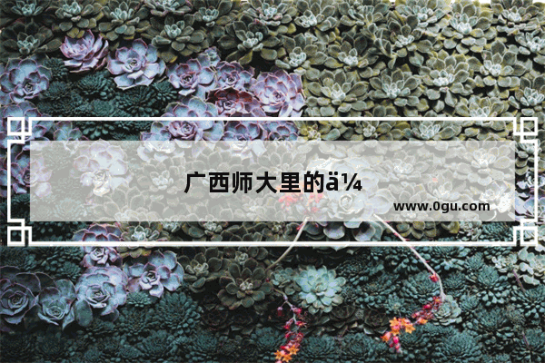 广西师大里的伙食如何 食堂或附近有哪些好吃的菜