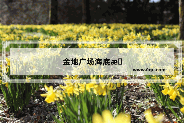 金地广场海底捞晚上从哪里进