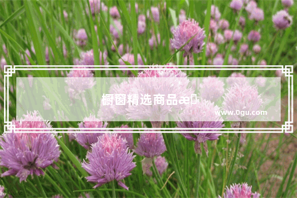 橱窗精选商品推荐标签怎么写