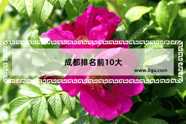 成都排名前10大最好吃的面馆