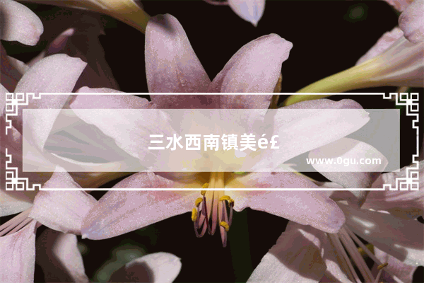 三水西南镇美食推荐店铺在哪里啊
